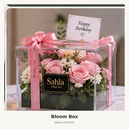 Bloom Box Baros